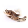 Image 3 : Aberts Squirrel Taxidermy Full Mount