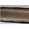 Image 3 : Texas Rattlesnake Hide
