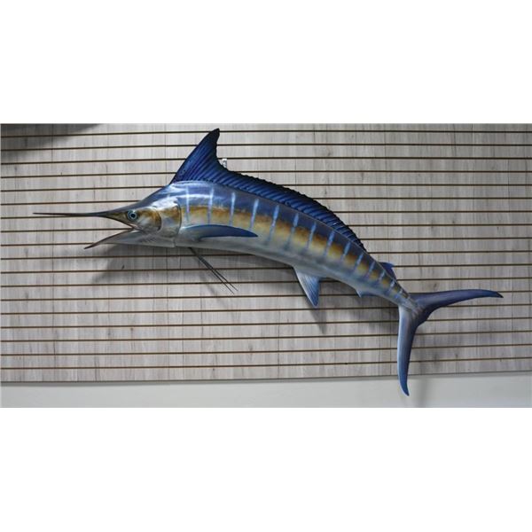 Blue Marlin Mount
