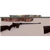 Image 1 : AR-7 Industries AR-7 Explorer .22 LR #D007245