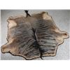 Image 2 : Blue Wildebeest Rug