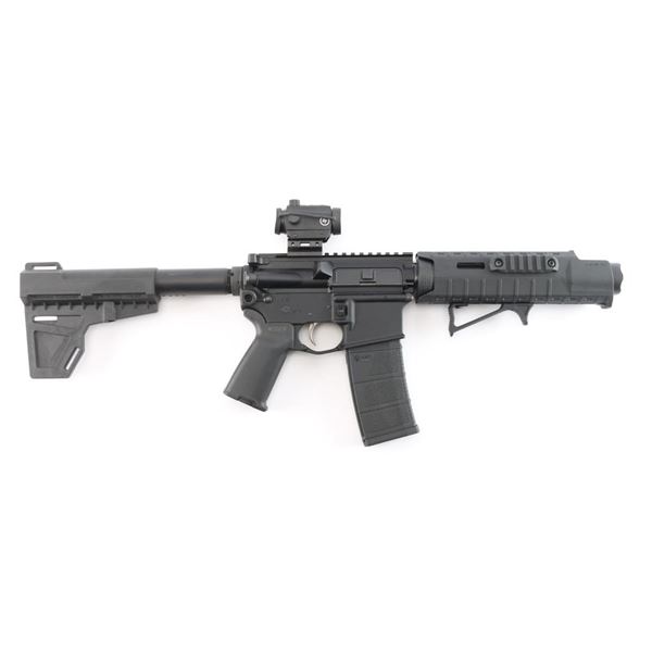 Palmetto State Armory PA-15 5.56mm #LW419124