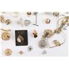 Image 5 : Large Lot of Masonic Jewelry