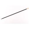 Image 1 : Gold Headed Walking Stick.