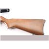 Image 3 : Ruger 10/22 .22 LR #239-20413