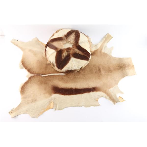 Springbuck Hide and Pillow