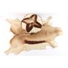 Image 1 : Springbuck Hide and Pillow