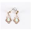 Image 2 : Cameo Pin and Opal Earrings