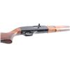 Image 7 : Winchester Model 190 .22 L/LR #B1997707