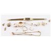 Image 2 : Gold Buyers Lot
