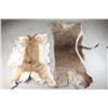 Image 1 : Lot of 2 African Hides