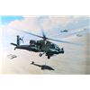 Image 2 : Lot of 2 Desert Storm Prints