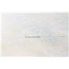 Image 3 : Lot of 2 Desert Storm Prints
