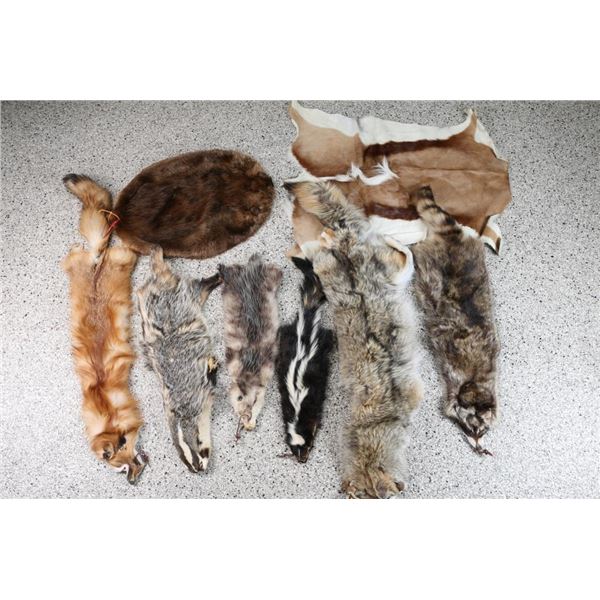 Lot of 9 hides