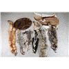 Image 1 : Lot of 9 hides