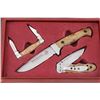 Image 2 : Lot of 12 Knives