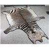Image 2 : Zebra Rug From Nambia