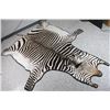 Image 3 : Zebra Rug From Nambia