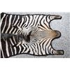Image 4 : Zebra Rug From Nambia