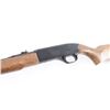 Image 4 : Winchester Model 190 .22 L/LR #B1669436