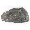 Image 1 : Fossiliferous Limestone Slab with Marine Animals