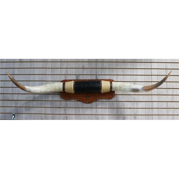 Steer Horn Mount