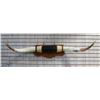 Image 1 : Steer Horn Mount