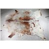 Image 1 : Brown and White Cowhide Rug