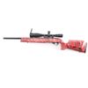 Image 2 : Ruger 10/22 .22 LR #244-62673