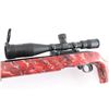 Image 4 : Ruger 10/22 .22 LR #244-62673