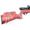 Image 5 : Ruger 10/22 .22 LR #244-62673
