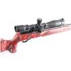 Image 6 : Ruger 10/22 .22 LR #244-62673