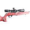 Image 7 : Ruger 10/22 .22 LR #244-62673