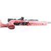 Image 8 : Ruger 10/22 .22 LR #244-62673