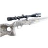 Image 6 : Ruger 10/22 .22 LR #234-50299