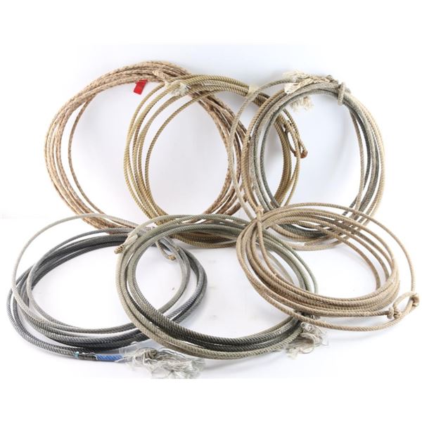 Lot of (7) Ropes