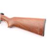 Image 3 : Remington 514 .22 S/L/LR NVSN
