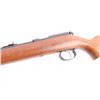 Image 4 : Remington 514 .22 S/L/LR NVSN
