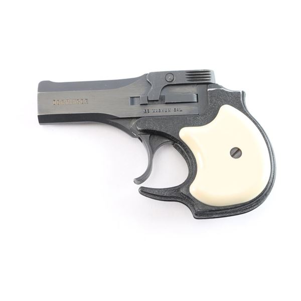 High Standard Derringer .22 Mag #2494891