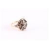 Image 1 : Lady's Masonic Ring Set
