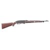 Image 1 : Remington Mohawk 10 C .22 LR #2521412