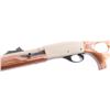 Image 3 : Remington 552 .22 S/L/LR NVSN
