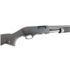 Image 6 : Istanbul Silah / BACO Winchester SXP 12 Ga