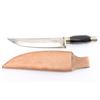 Image 2 : Bowie Knife