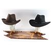 Image 1 : Lot of 2 Hats and Rack