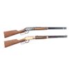 Image 1 : Lot of 2 Lever Action Air Rifles