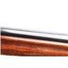 Image 5 : Winchester Model 1911 S.L. 12 Ga #9118