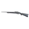 Image 2 : Ruger 10/22 .22 LR #0025-86702