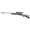 Image 2 : Crossman Furry .177 CAL
