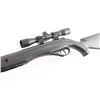 Image 3 : Crossman Furry .177 CAL